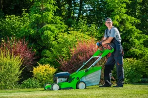 Ensuring Your Green Haven Choosing the Best Garden Maintenance Company in Dubai