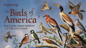 Exploring 'The Birds of America' Book by John James Audubon: A Collector's Guide