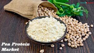 Global Pea Protein Market