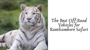 The Best Off-Road Vehicles for Ranthambore Safari