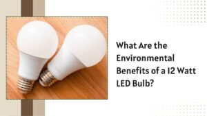 12 Watt Led Bulb