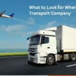 What to Look for When Choosing a Transport Company