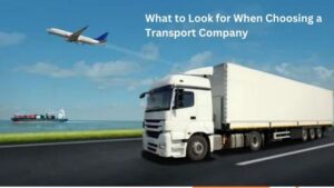 What to Look for When Choosing a Transport Company