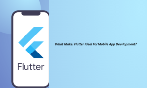 flutter-app-developer-2024