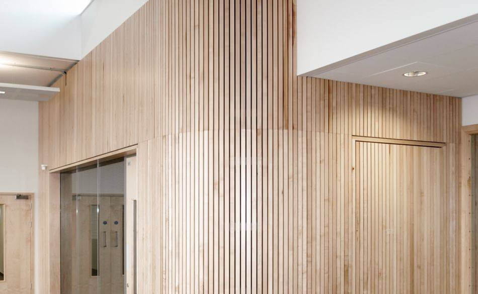 How Wooden Panels Can Transform Your Space- A Deep Dive into Noise Reduction